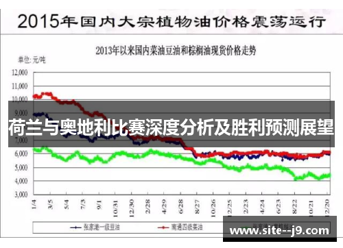 荷兰与奥地利比赛深度分析及胜利预测展望