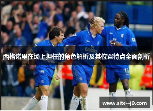 西格诺里在场上担任的角色解析及其位置特点全面剖析