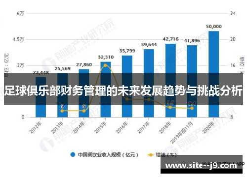 足球俱乐部财务管理的未来发展趋势与挑战分析