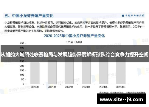从加的夫城所处联赛格局与发展趋势深度解析球队综合竞争力提升空间