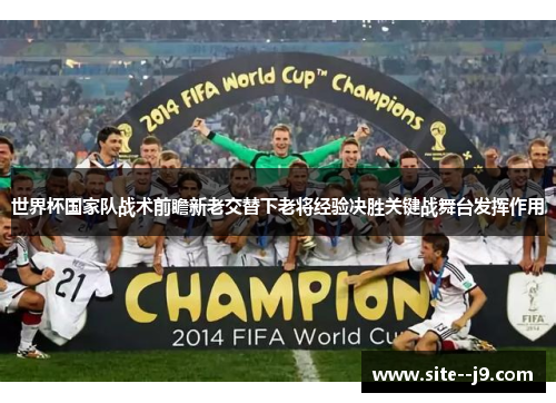 世界杯国家队战术前瞻新老交替下老将经验决胜关键战舞台发挥作用