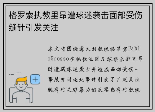 格罗索执教里昂遭球迷袭击面部受伤缝针引发关注